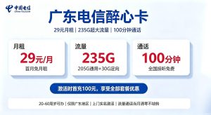 广东电信29元流量卡套餐详情 235G流量100分钟通话资费介绍
